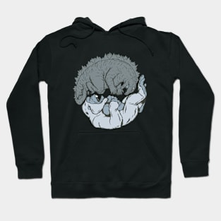 Gods of Destruction Hoodie